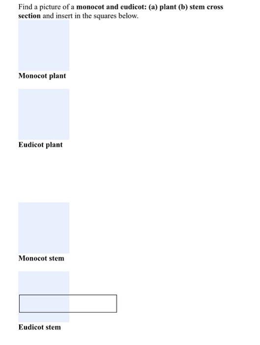 Solved Figure 3. Flower anatomy What is the name of the