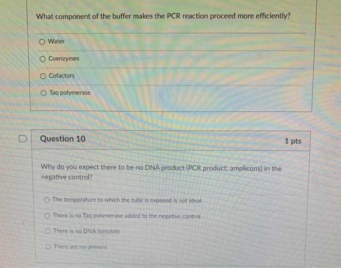 Solved What Component Of The Buffer Makes The PCR Reaction Chegg Com   Image