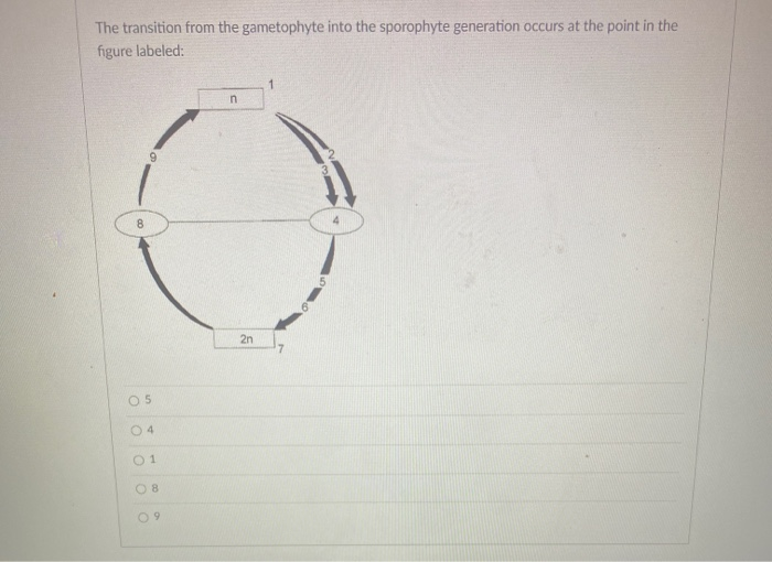 Solved Terrestrial plants obtain carbon dioxide, required