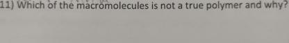 which of the following macromolecules is not a true polymer
