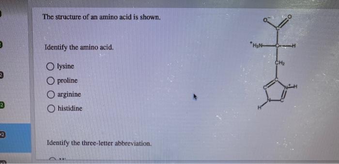 Solved The structure of an amino acid is shown. Identify the | Chegg.com