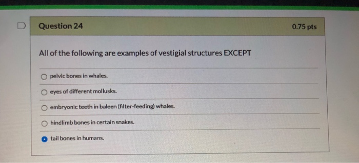 Solved Question 24 0 75 Pts All Of The Following Are Exam
