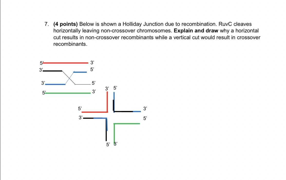 Solved Please explain in detail and drawing please. Thank