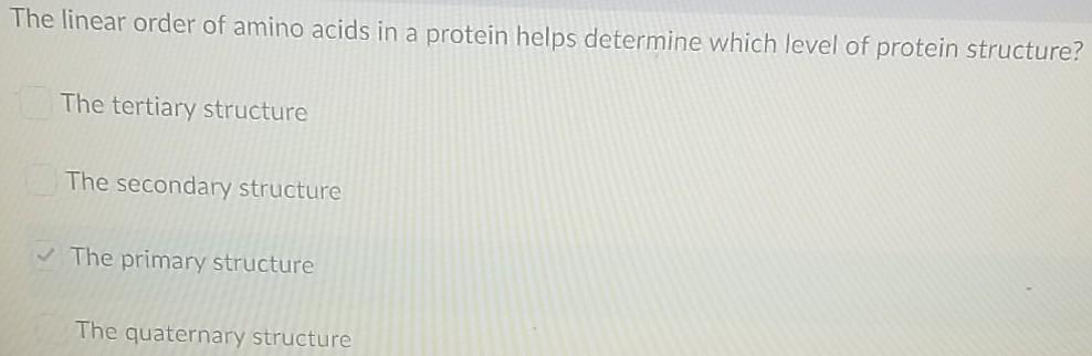 Solved The linear order of amino acids in a protein helps | Chegg.com