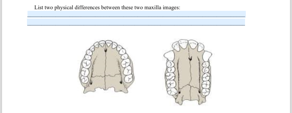 List two physical differences between these two | Chegg.com