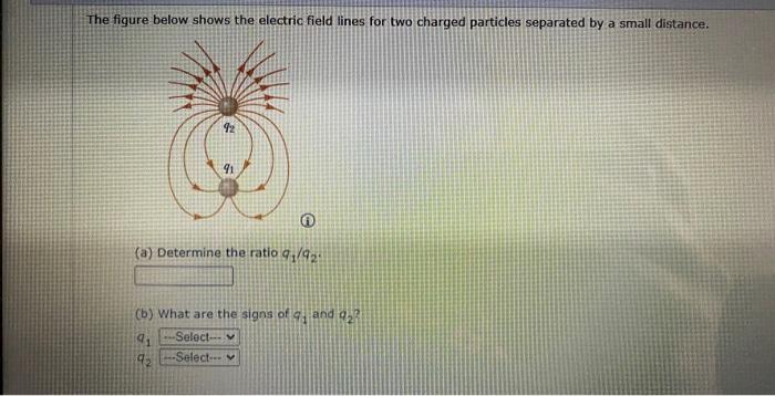 Solved The figure below shows the electric field lines for | Chegg.com