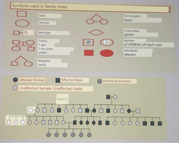 Solved INMUNOLOGYhelp, i need to make a family tree of | Chegg.com