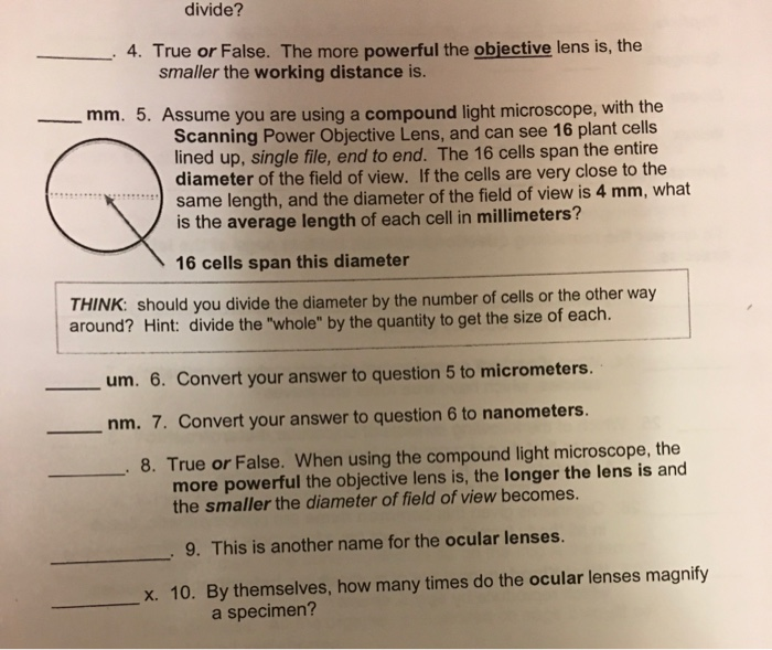 Divide 4 True Or False The More Powerful The Chegg Com