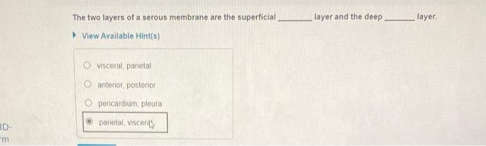 solved-layer-and-the-deep-layer-the-two-layers-of-a-serous-chegg