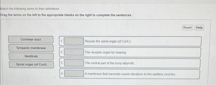 Solved Match the following terms to their definitions Drag | Chegg.com