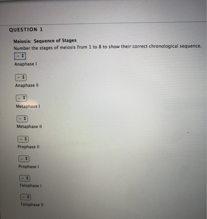 Solved Meiosis: Events Put the letter of each meiotic stage | Chegg.com