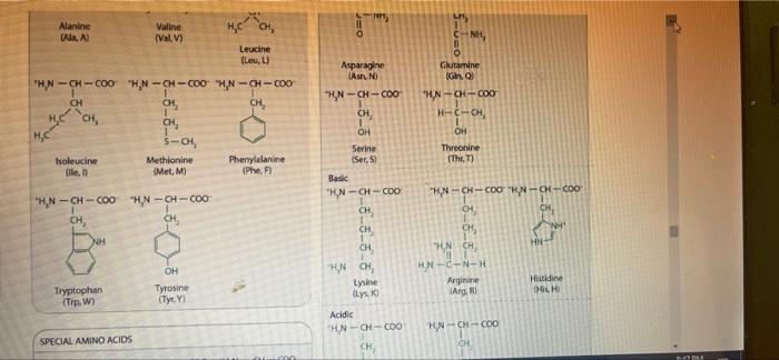 Solved Consider an enzyme that has these three amino acids | Chegg.com