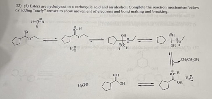 Solved (5) ﻿Esters are hydrolyzed to a carboxylic acid and | Chegg.com