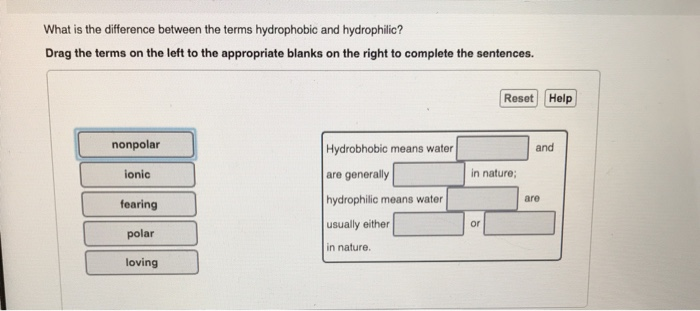 Solved What Is The Difference Between The Terms Hydrophobic Chegg Com