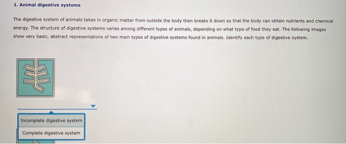 Solved 1. Animal digestive systems The digestive system of 