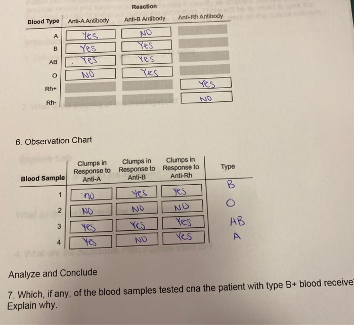 Reaction Blood Type Anti A Antibody Anti Rh Antibody Chegg Com