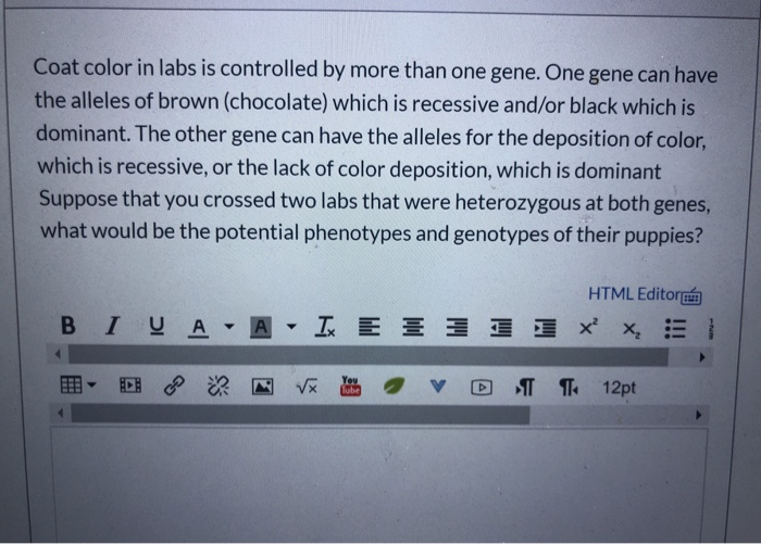 Solved Coat Color In Labs Is Controlled By More Than One | Chegg.com