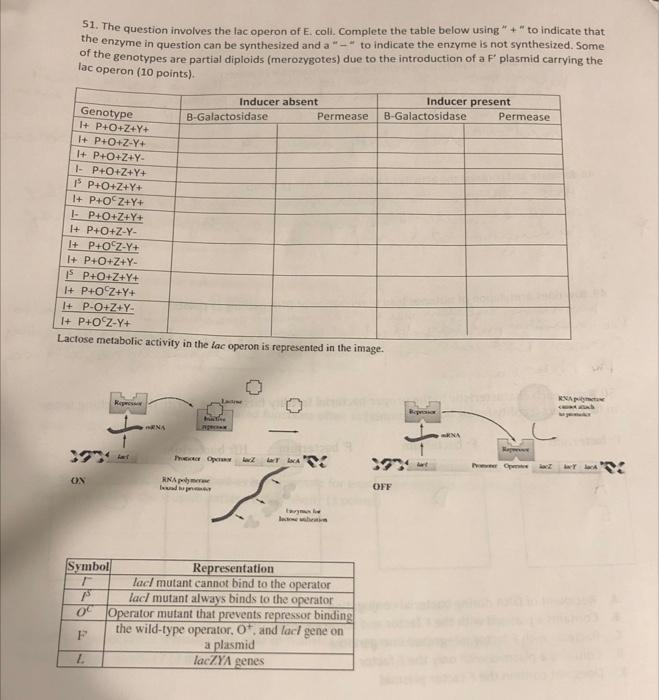 Solved $1. The question involves the lac operon of E. coli. | Chegg.com