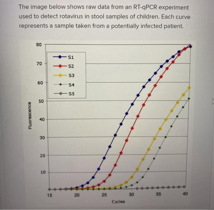 Solved The image below shows raw data from an RT-PCR | Chegg.com