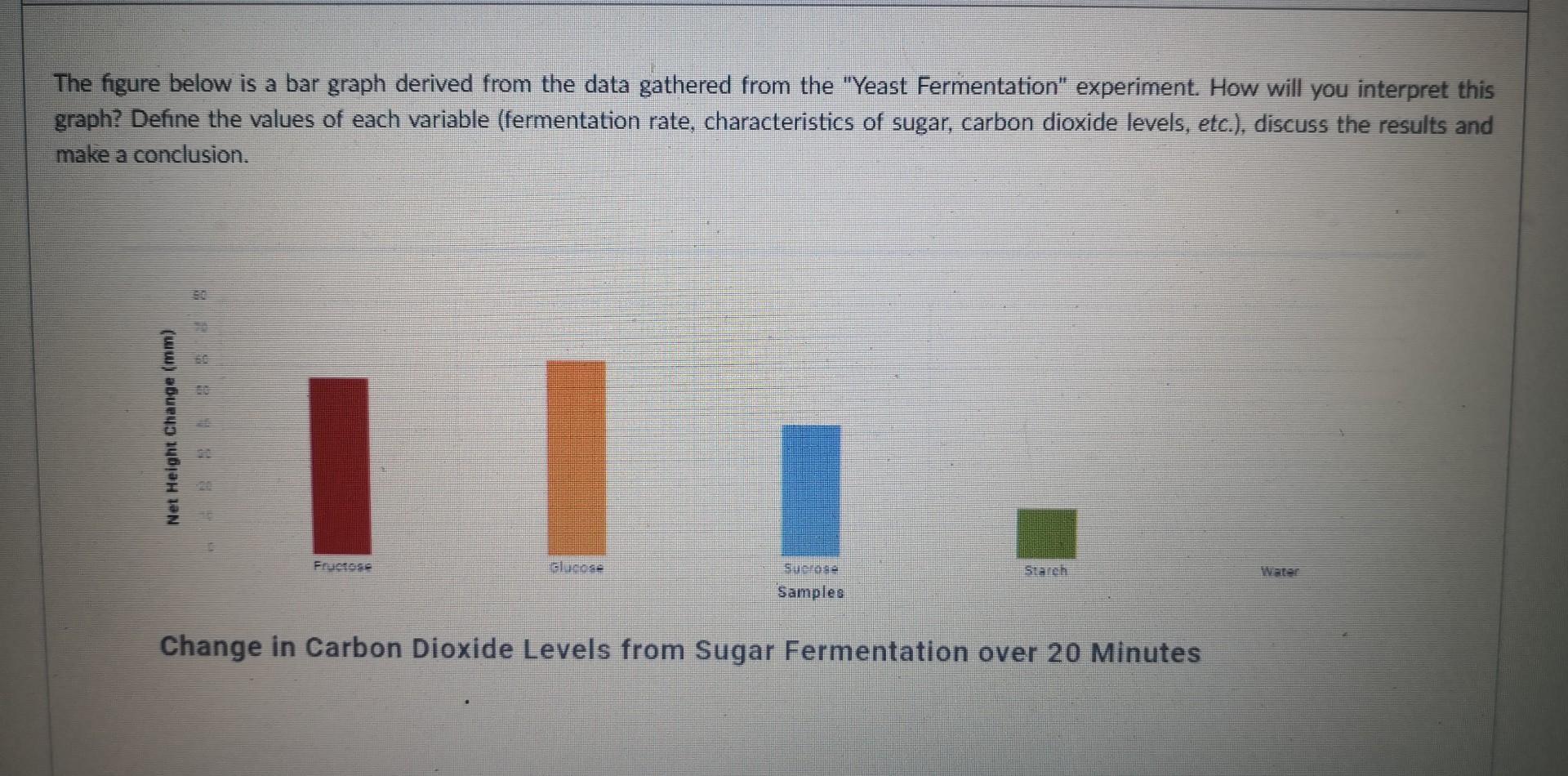 yeast experiment graph