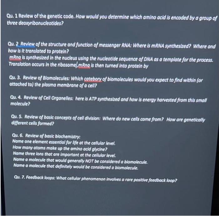 Qu. 1 Review of the genetic code. How would you determine which amino acid is encoded by a group of three deoxyribonucleotide