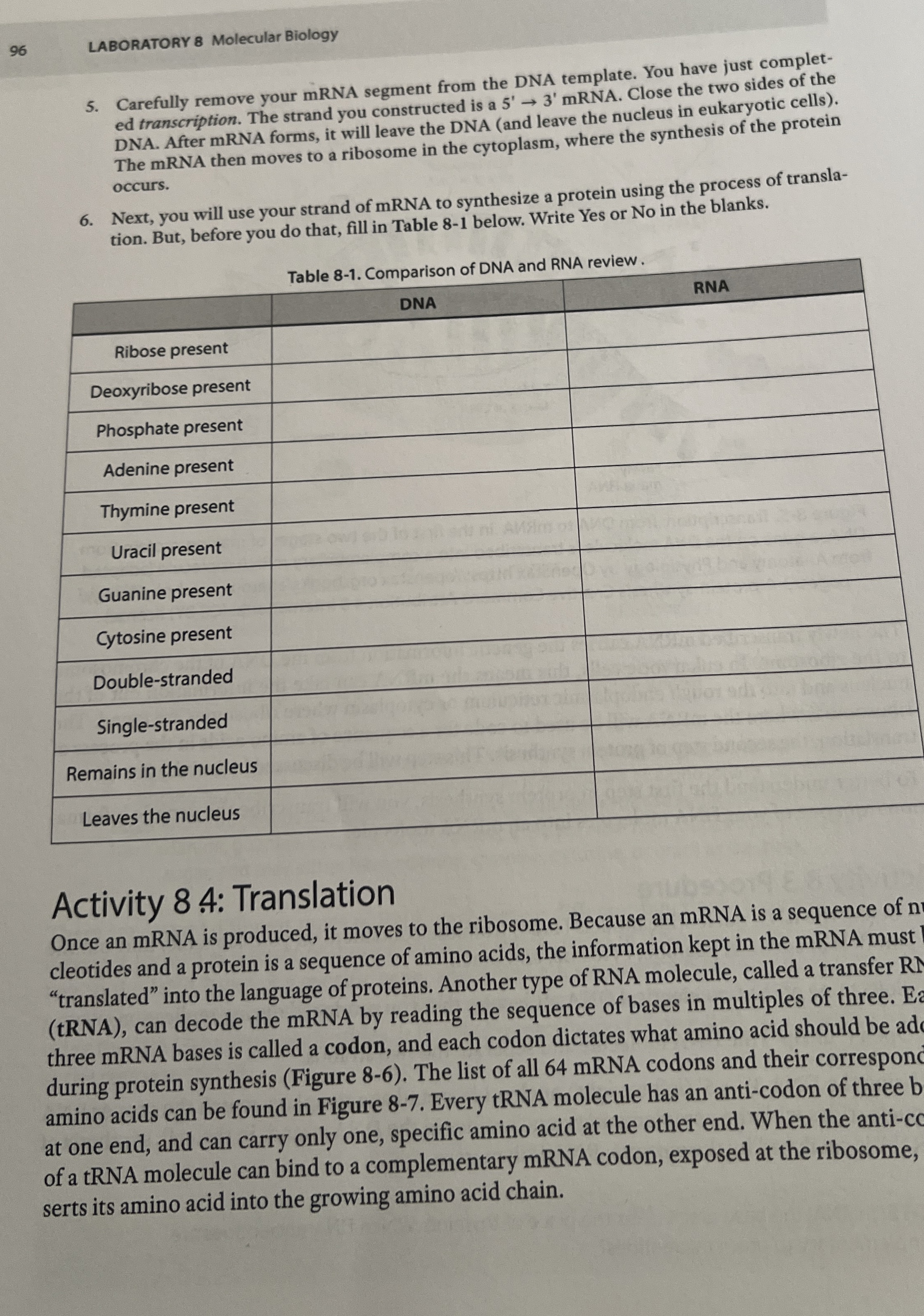 Solved Of the four bases, only specific ones