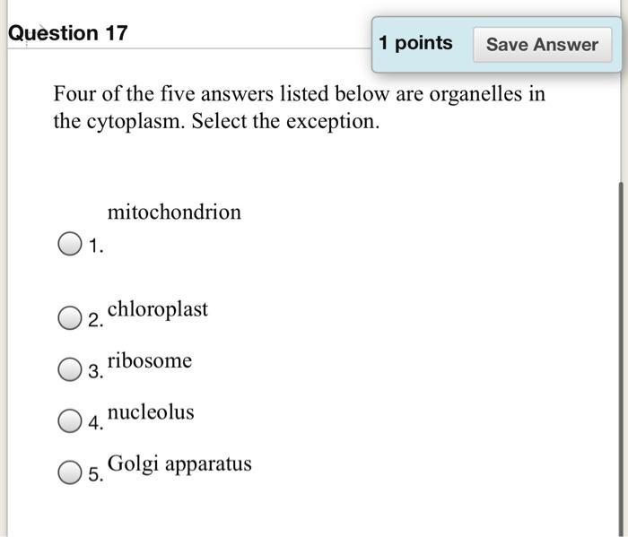 Solved Question 17 1 points Save Answer Four of the five | Chegg.com