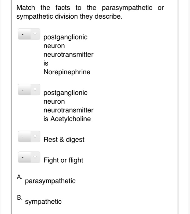 Solved Match the facts to the parasympathetic or sympathetic | Chegg.com