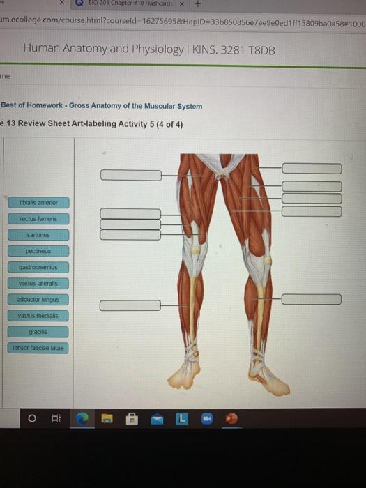 Solved Q80 201 Chapter 10 Flashcard x um.ecollege.com/course | Chegg.com