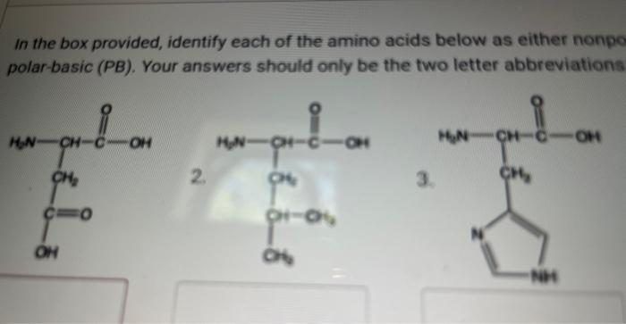 Solved In the box provided, identify each of the amino acids | Chegg.com