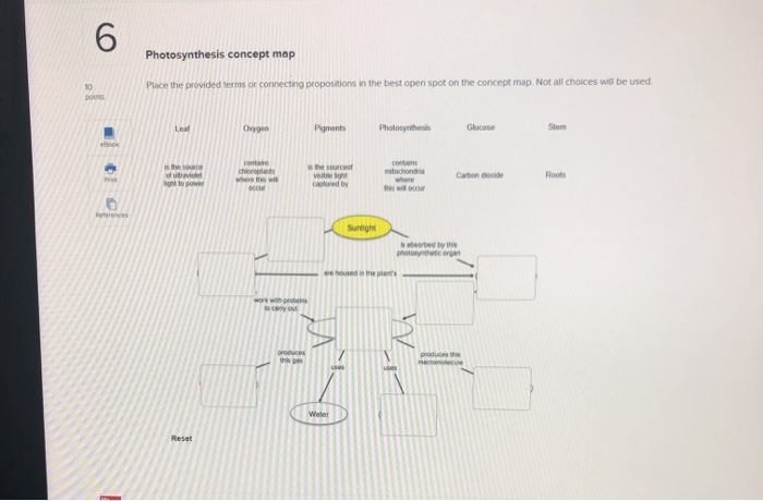 Solved Photosynthesis Concept Map Place The Provided Terms Chegg Com   Image 