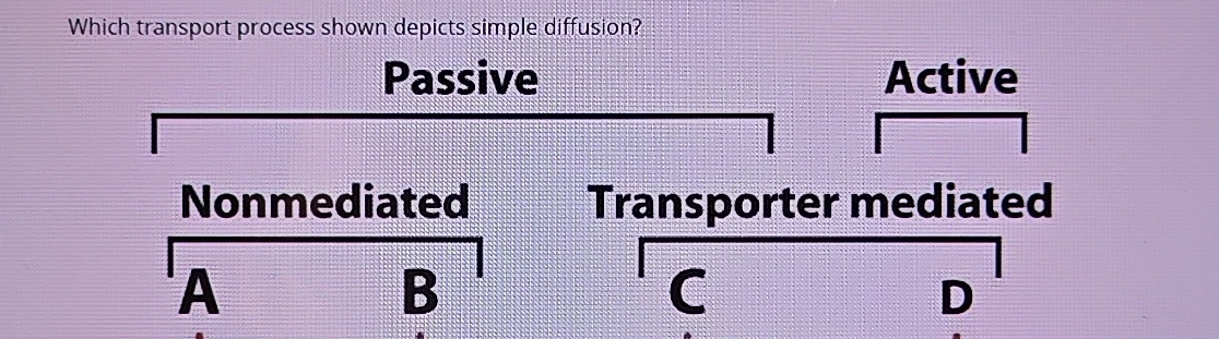 Solved Which transport process shown depicts simple | Chegg.com