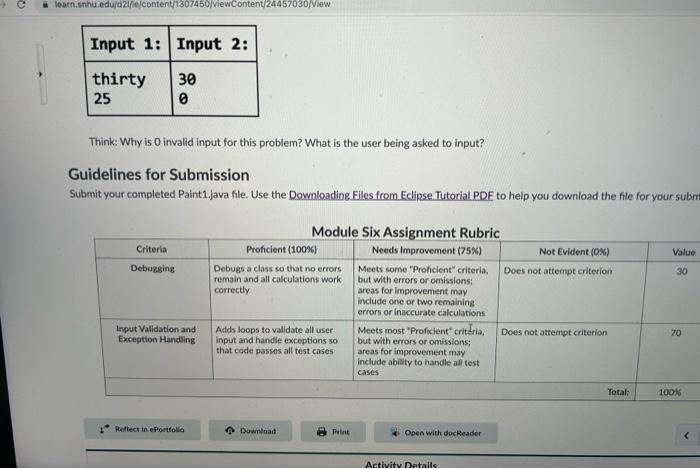 module four assignment guidelines and rubric