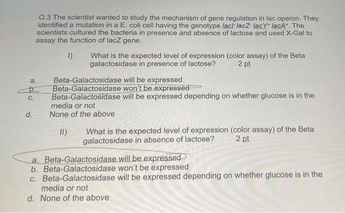 Q.3. The scientist wanted to study the mechanism of gene regulation in lac operon. They identified a mutation in a E. coli ce