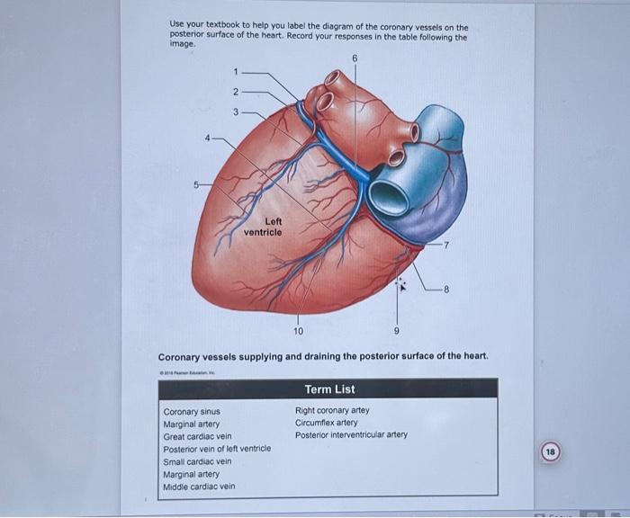 Solved Use your textbook to help you label the diagram of | Chegg.com