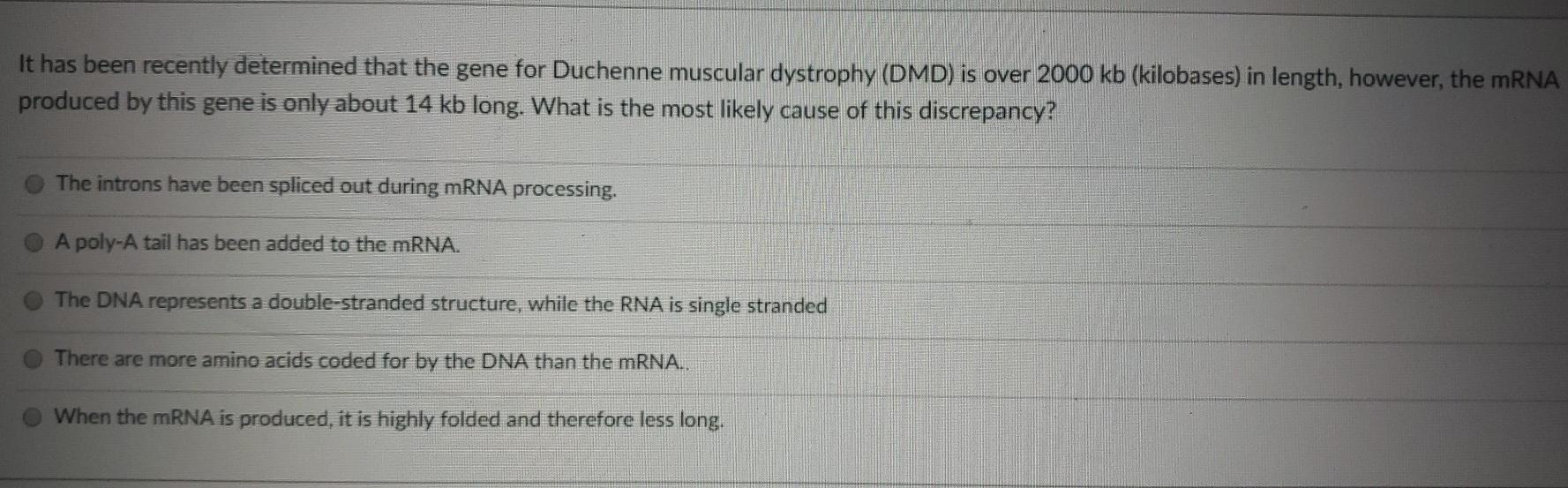 It has been recently determined that the gene for Duchenne muscular dystrophy (DMD) is over 2000 kb (kilobases) in length, ho