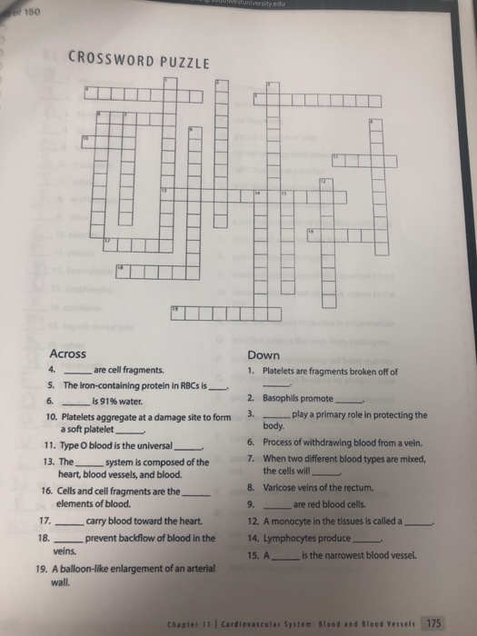 Chapter 11 Blood Crossword Puzzle Answers 79+ Pages Summary [725kb] - Updated 