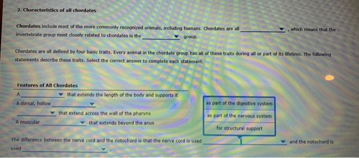 solved-2-characteristics-of-all-chordates-which-means-that-chegg