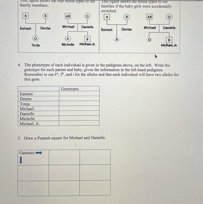 Solved Biology 100 Soap Opera Student Worksheet