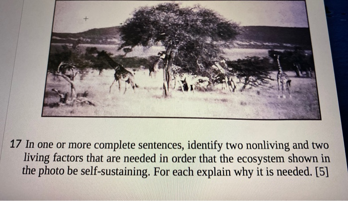 Solved o Base your answers to question 17 on the photograph | Chegg.com