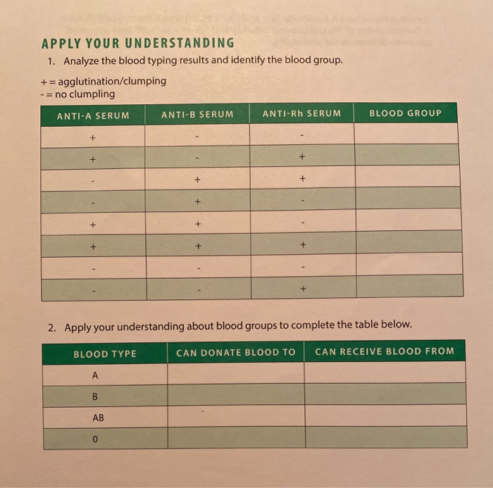 Apply Your Understanding 1 Analyze The Blood Typing Chegg Com