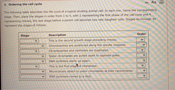 Solved Aa Aa 1. Ordering the cell cycle The following table | Chegg.com