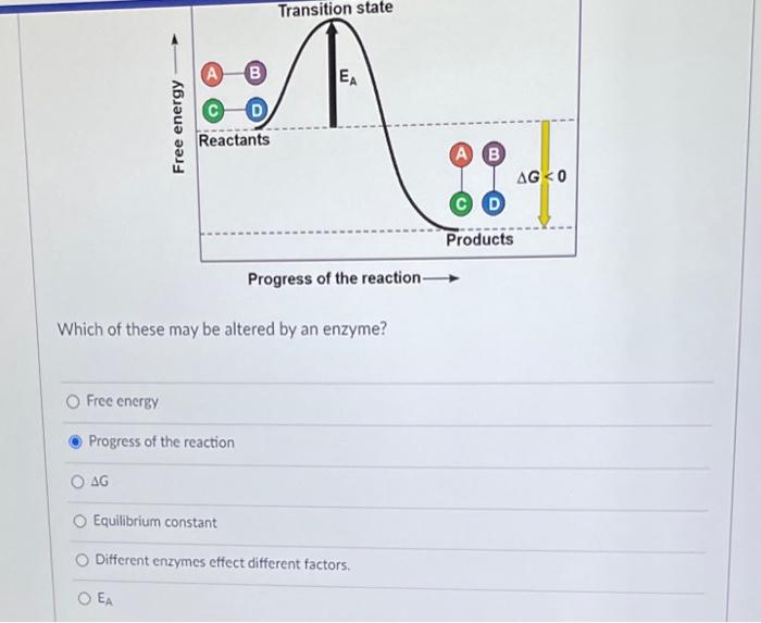 Solved How do enzymes and their substrates find each other
