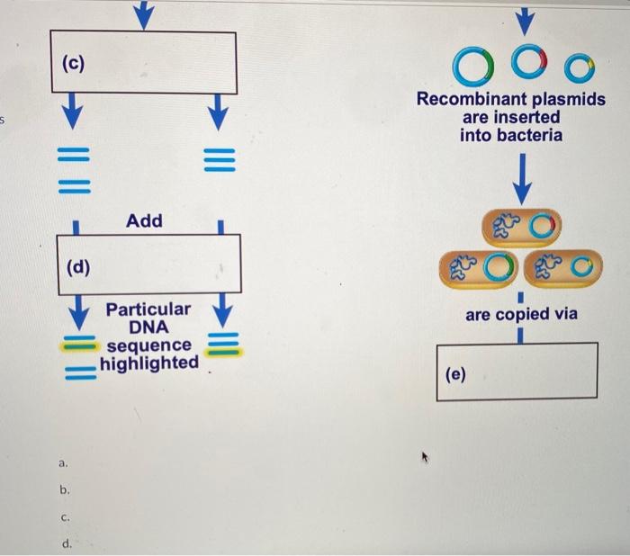 Solved 1. Using the image below, answer the following | Chegg.com