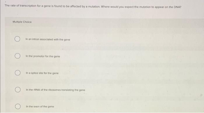 Solved Which of the following statements best describes DNA | Chegg.com