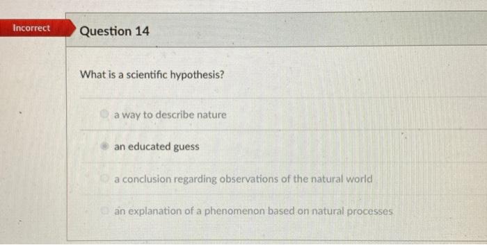 1. write a hypothesis based on observations and scientific principles