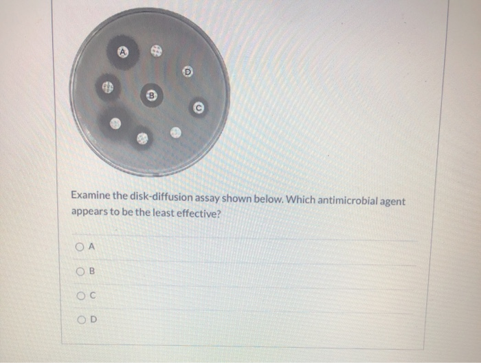 Solved Examine The Disk Diffusion Assay Shown Below Which Chegg Solved Examine The Disk Diffusion Assay Shown Below Which Chegg