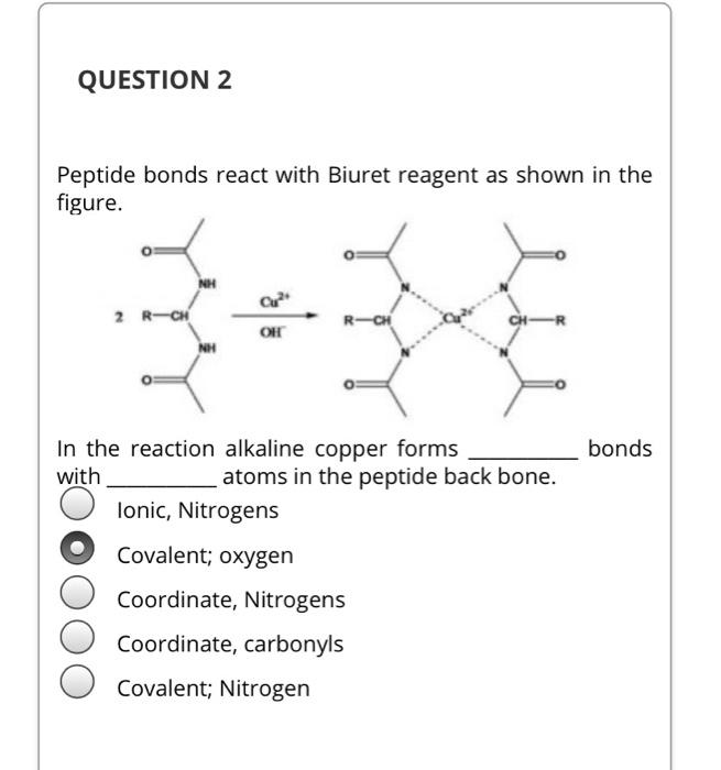 Solved QUESTION 2 Peptide bonds react with Biuret reagent as | Chegg.com