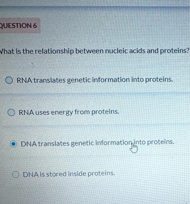 Solved hat is the relationship between nucleic acids and | Chegg.com