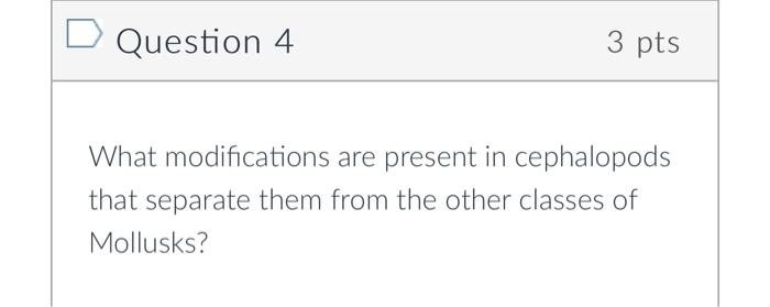 Question 4
3 pts
What modifications are present in cephalopods that separate them from the other classes of Mollusks?